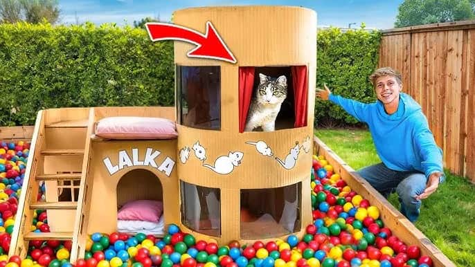 Jak zrobić plac zabaw dla kota, aby twój pupil był szczęśliwy i aktywny